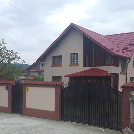 Vila De Vacanta Curtea De Arges Bagian luar foto