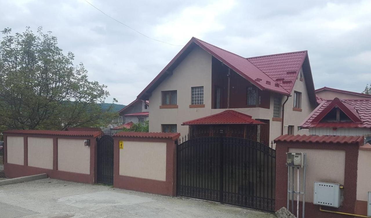 Vila De Vacanta Curtea De Arges Bagian luar foto